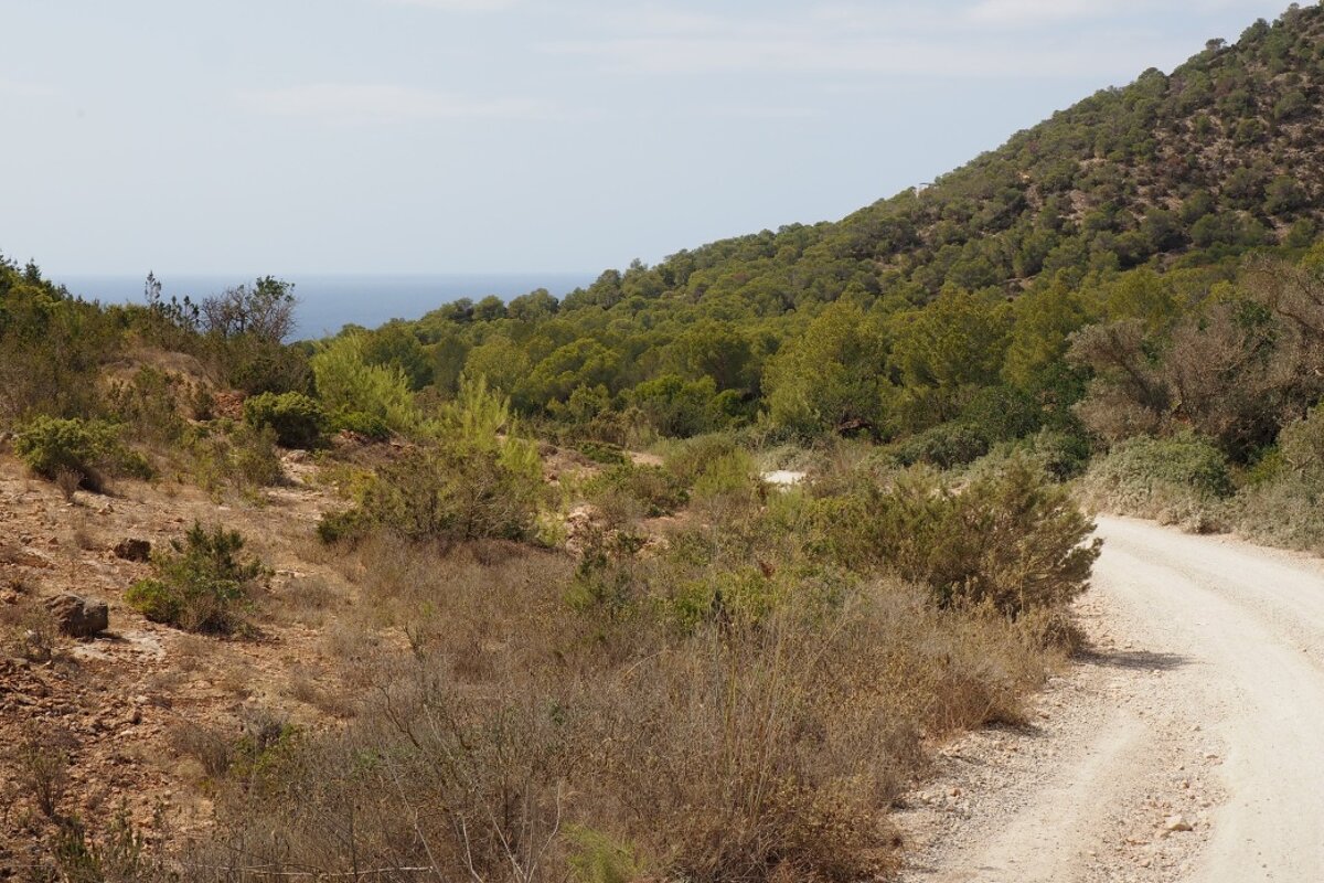 the road winds through the hills in west ibiza