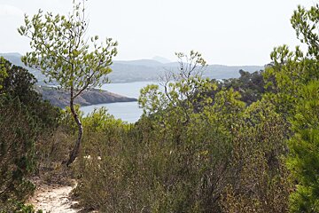 a path through some scrib in west ibiza