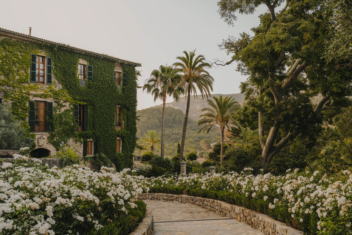 A stone walkway leading to a building with palm trees in the background