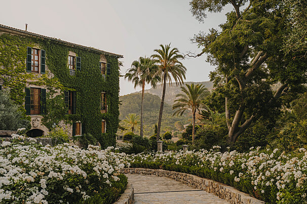 A stone walkway leading to a building with palm trees in the background