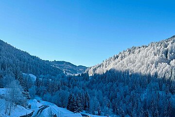 A snowy forest with a road going through it