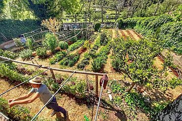 Es Taller Restaurant, Valldemossa