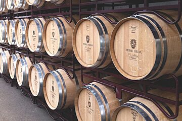 Pere Seda Vineyard, Manacor