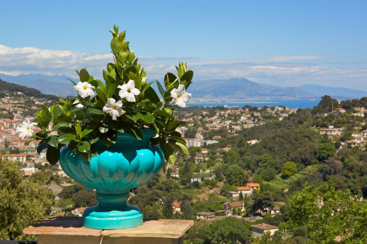 A blue vase filled with white flowers sits on a ledge overlooking a city