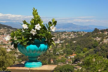 A blue vase filled with white flowers sits on a ledge overlooking a city