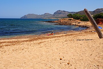 a small beach with a large tree trunk poking out of it