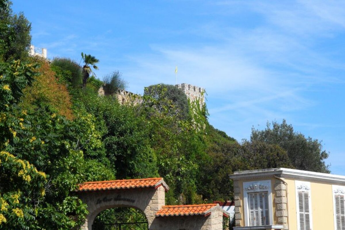 a fort on a hill top partially covered with trees