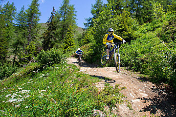 Black Trails mountain biker