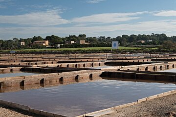 Salt Marshes and Southern Cliffs Tour, Palma