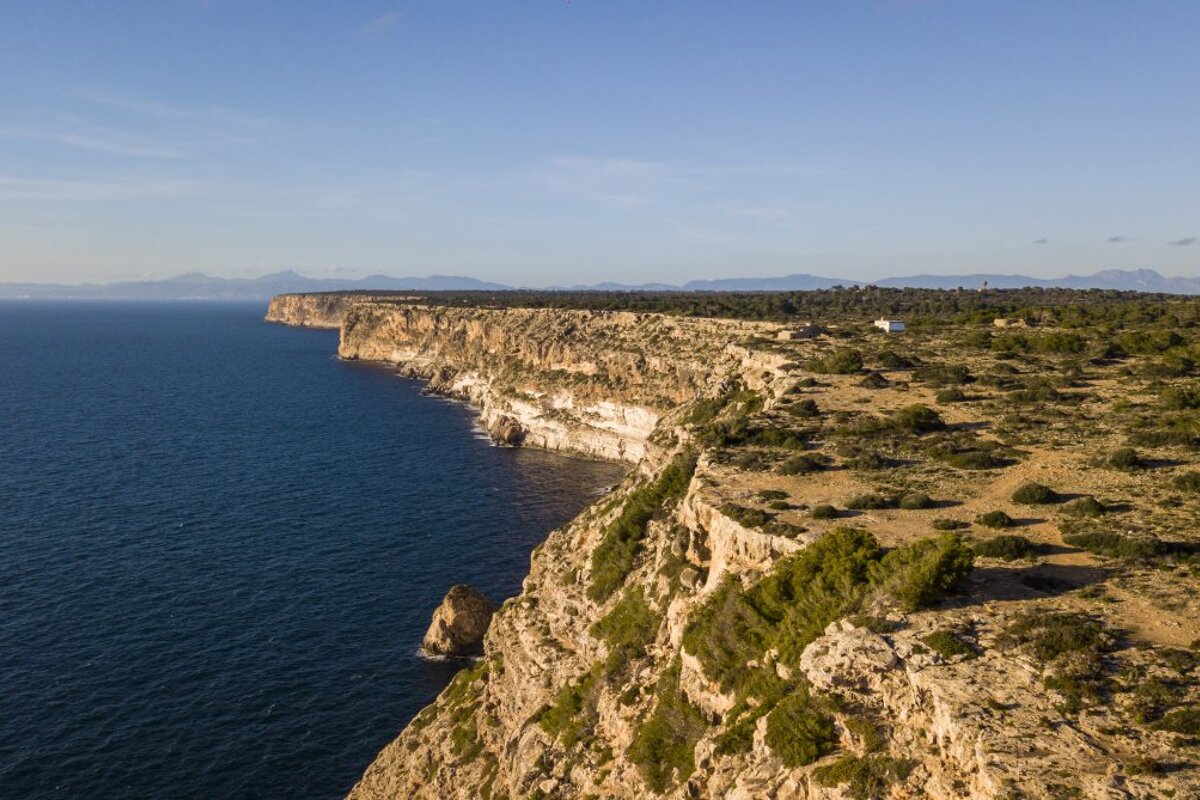 Salt Marshes and Southern Cliffs Tour, Palma