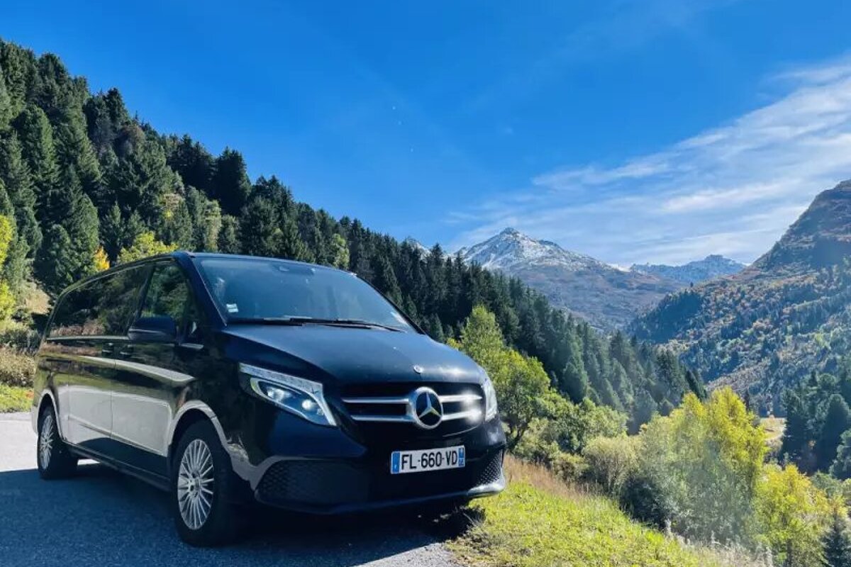 A black mercedes van with a license plate that says fl 660 ndz