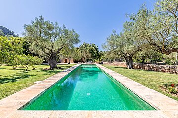 A large swimming pool surrounded by trees and grass