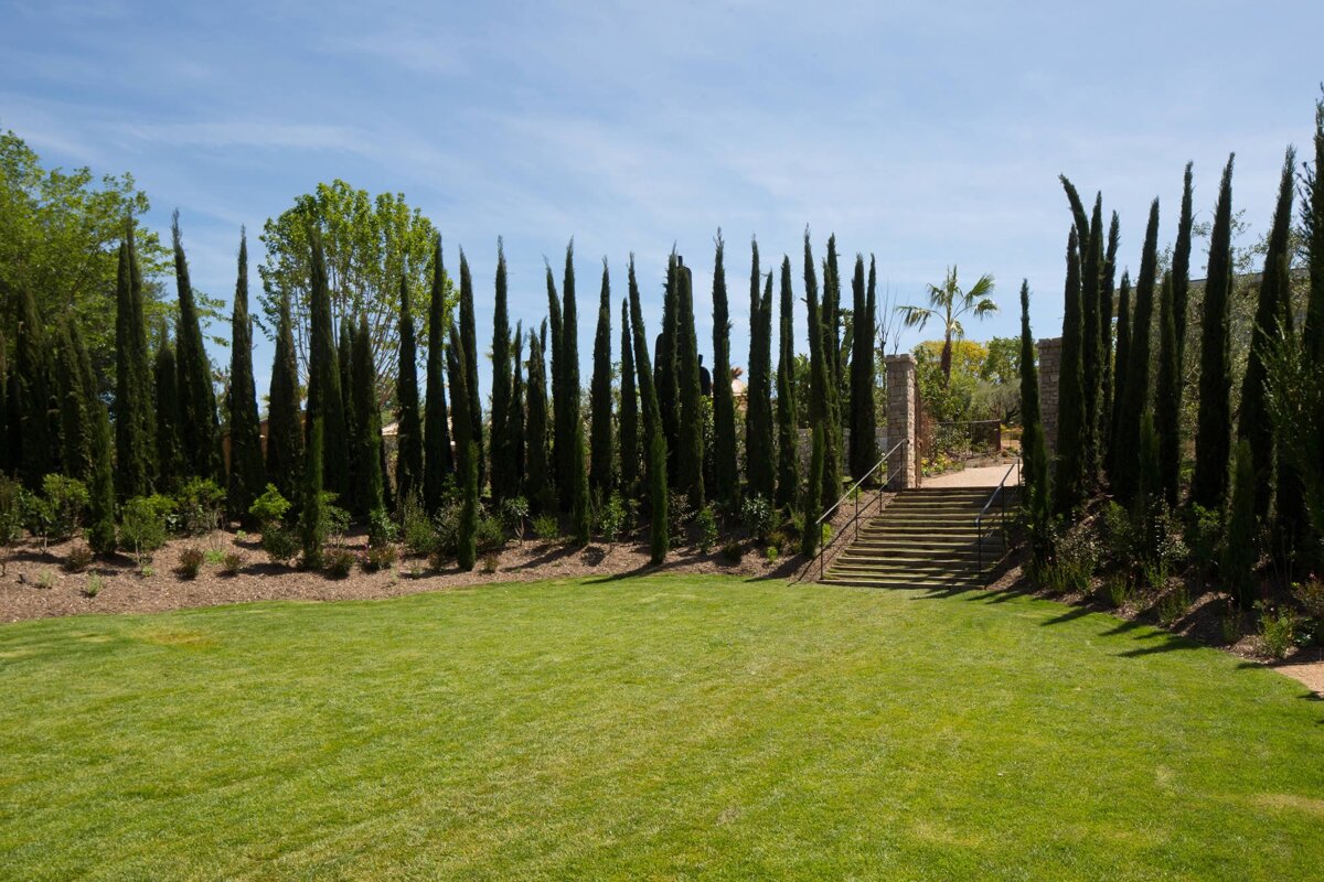 clairiere-cypriere-du-domaine-du-mas-de-pierre-saint-paul-de-vence.jpg