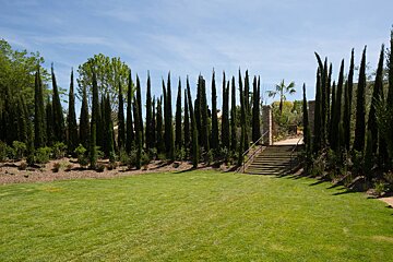 clairiere-cypriere-du-domaine-du-mas-de-pierre-saint-paul-de-vence.jpg