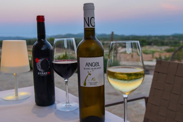 Carrossa Restaurant Review, Arta