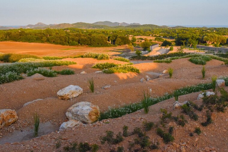 Carrossa Restaurant Review, Arta