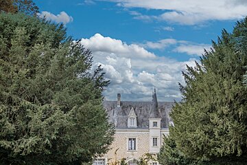 A castle surrounded by trees with a blue sky in the background