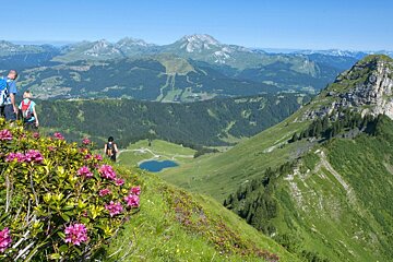A couple of people hiking in the mountains with pink flowers in the foreground
