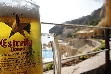 a beer and Cala llamp in the back ground