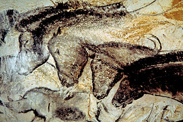 Chauvet Cave One Step Closer to Becoming a UNESCO Site