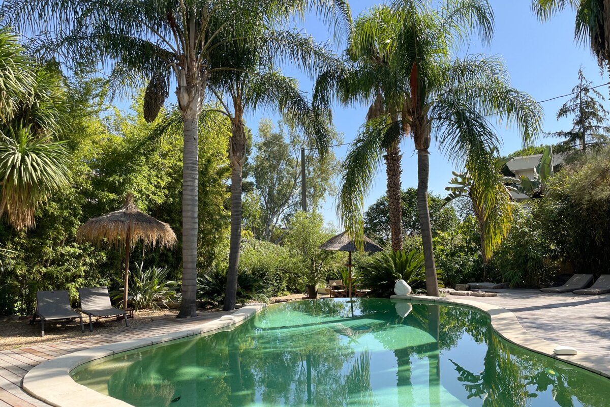A large swimming pool surrounded by palm trees and chairs