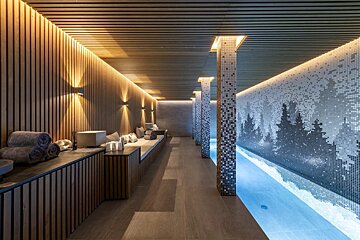 A long hallway with a swimming pool in the middle