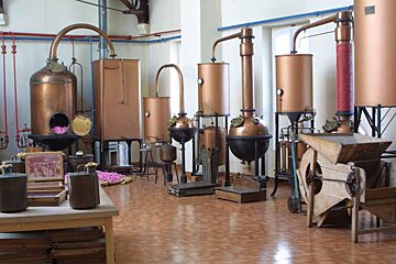 Parfumerie Molinard, Grasse