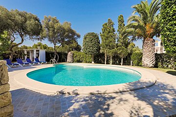 A large swimming pool surrounded by palm trees