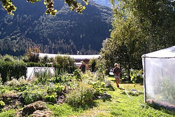 Harvest Festival this Saturday