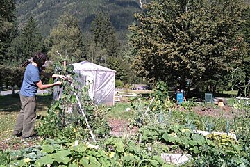 Harvest Festival this Saturday