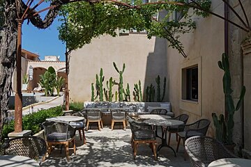 A shaded outdoor patio with wicker seating and tables, featuring cacti along a warm-toned wall, all under a leafy, vine-covered pergola.