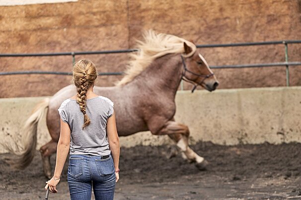 Beginners 7 Day Horse Riding Holiday, Mallorca