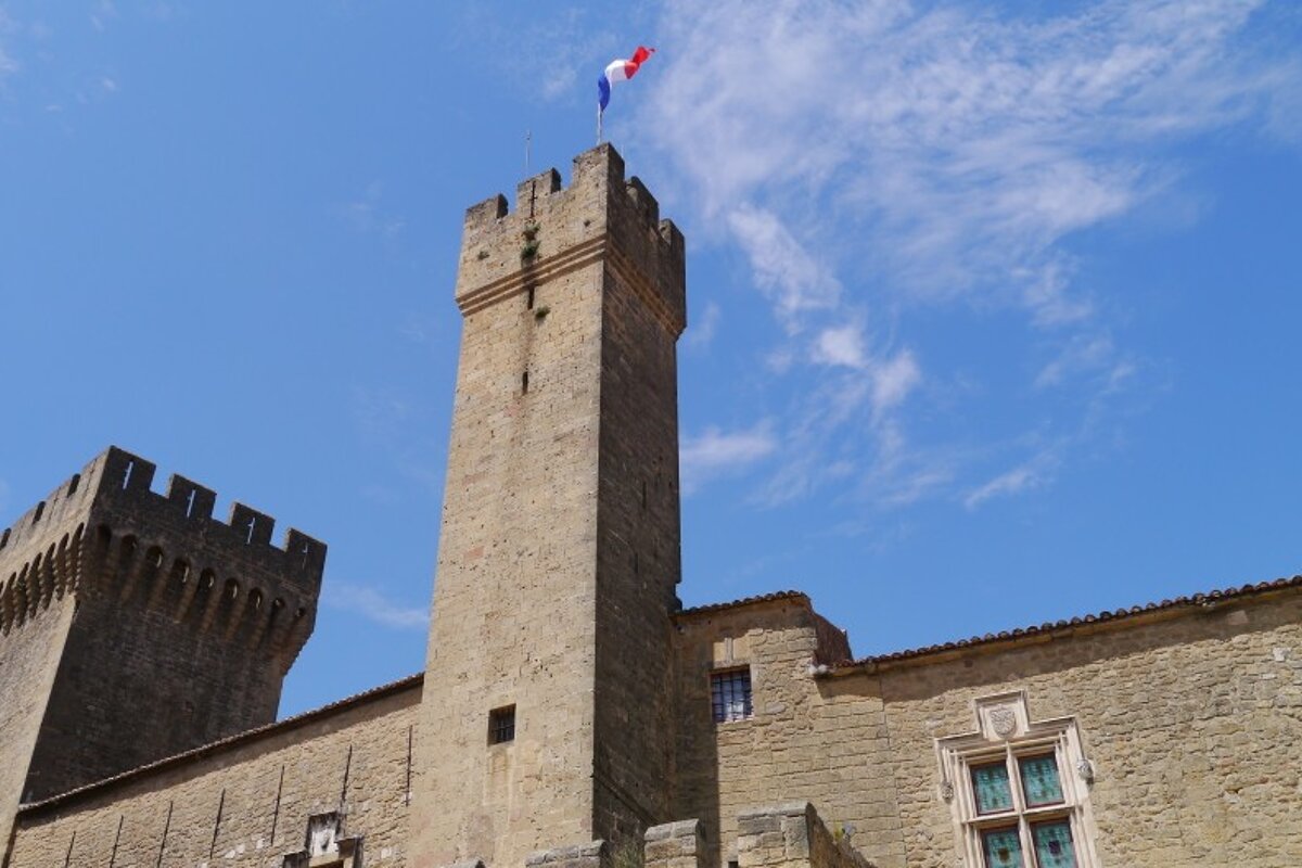 Château de l'Empéri, Salon de Provence