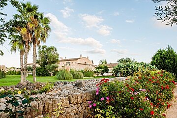Scenic view of a stone country house amidst lush gardens with palm trees, a stone wall, and vibrant rose bushes under a clear sky.