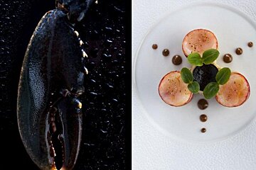 Kintessence Restaurant, Courchevel  starter