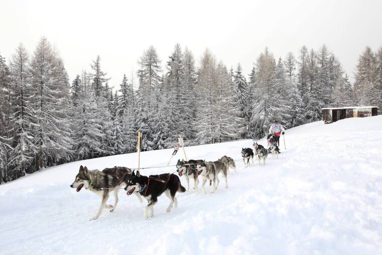What's On in La Plagne January 2019