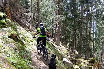 A man is riding a bike in the woods with a dog