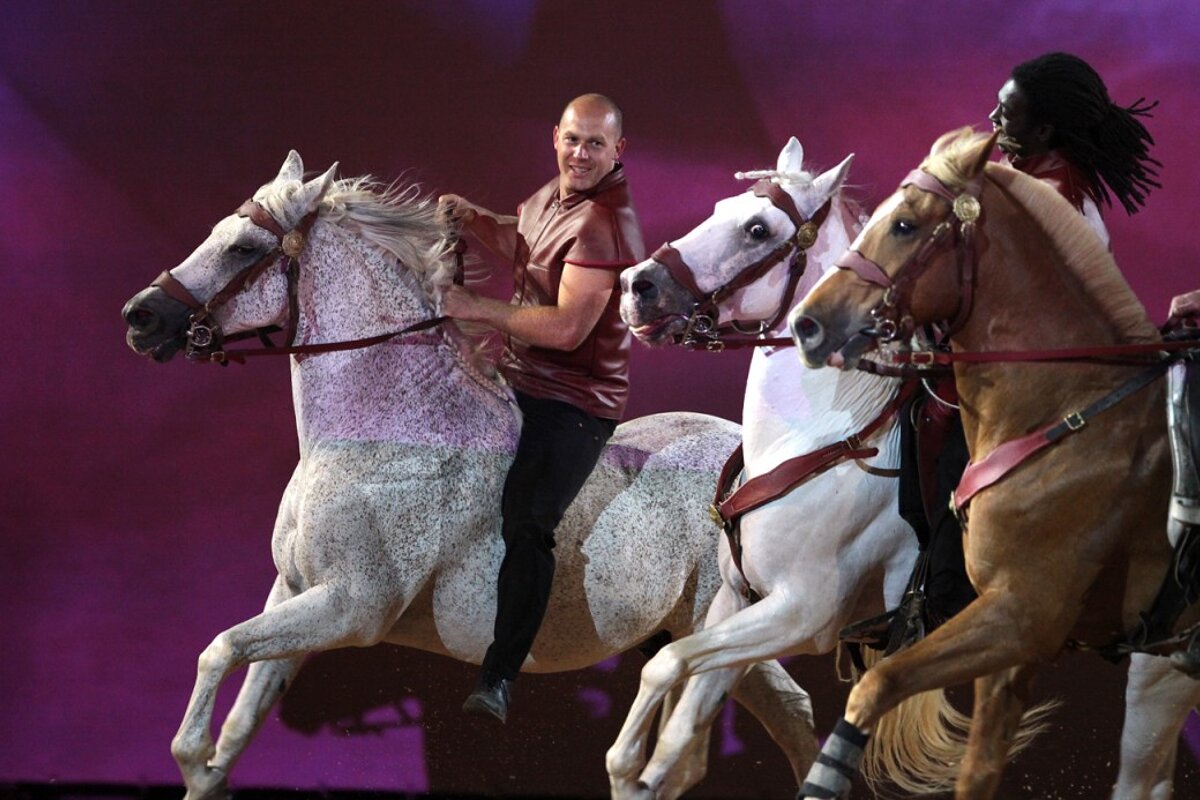 Cheval Passion, Avignon