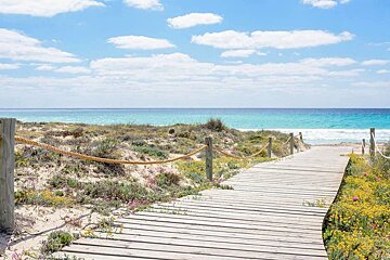 Top 5 day trips in Ibiza for summer 2019