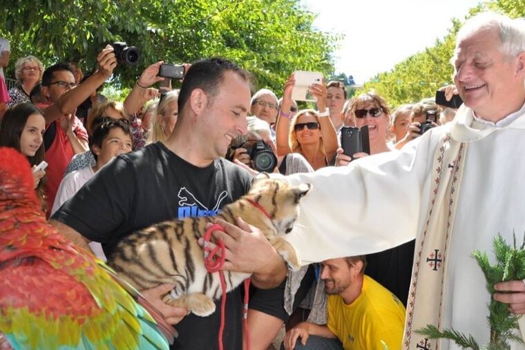What's on in Antibes August 2019