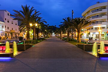 A row of palm trees along a street with a sign that says ' a ' on it