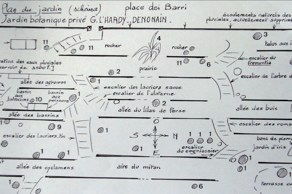 Hardy's Botanical Garden