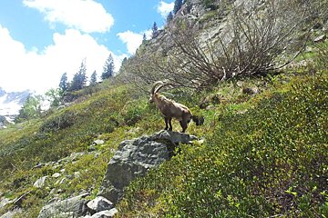 2 Day Guided Hiking, Chamonix