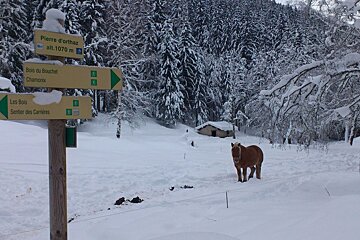 2 Day Guided Hiking, Chamonix
