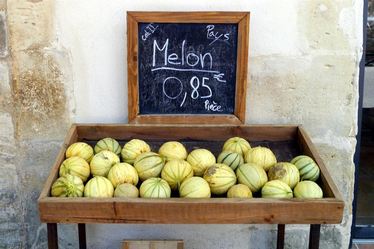 Melons form Provence
