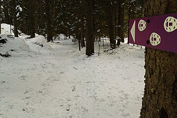 Winter Trail Running in Chamonix