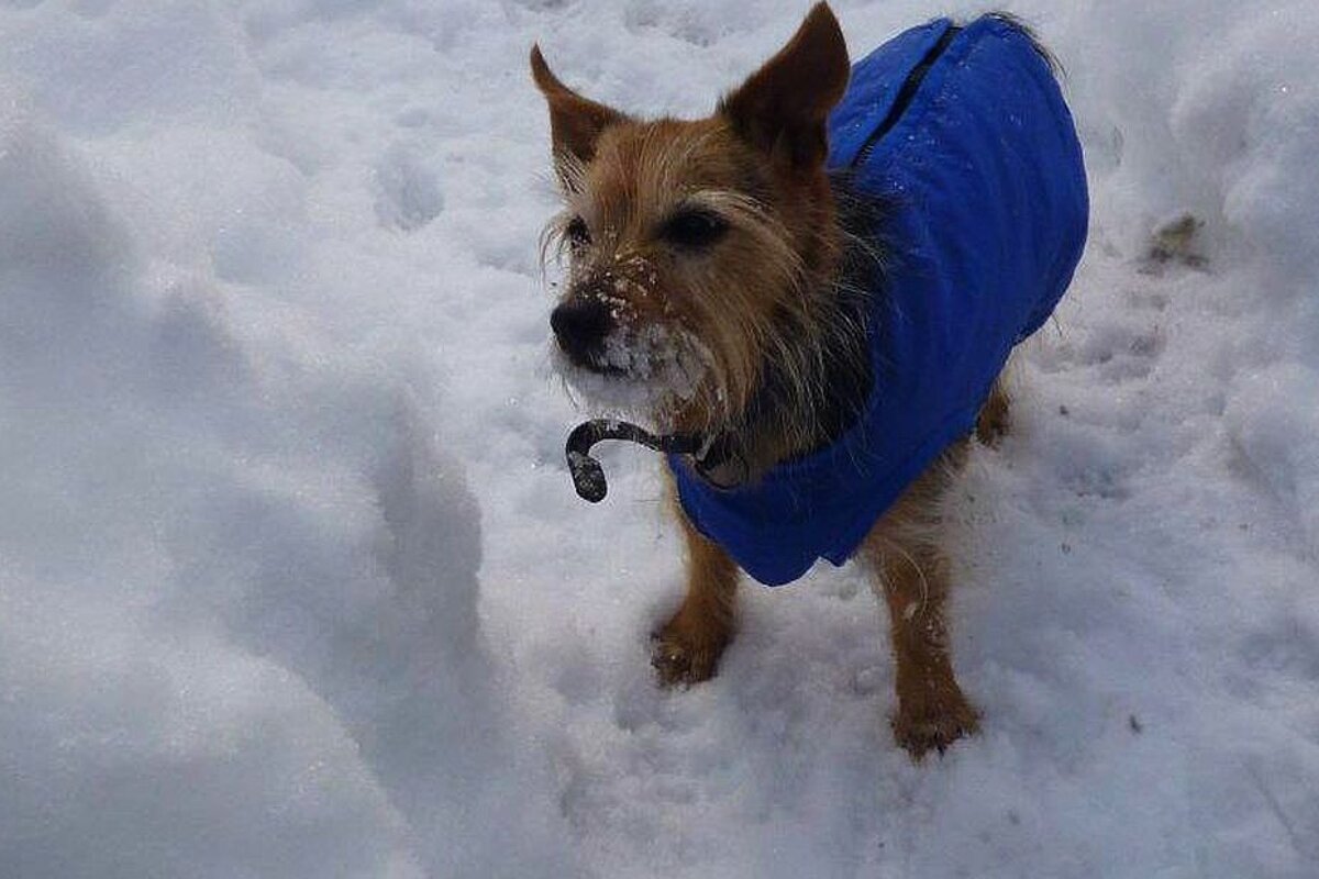 Winter Trail Running in Chamonix
