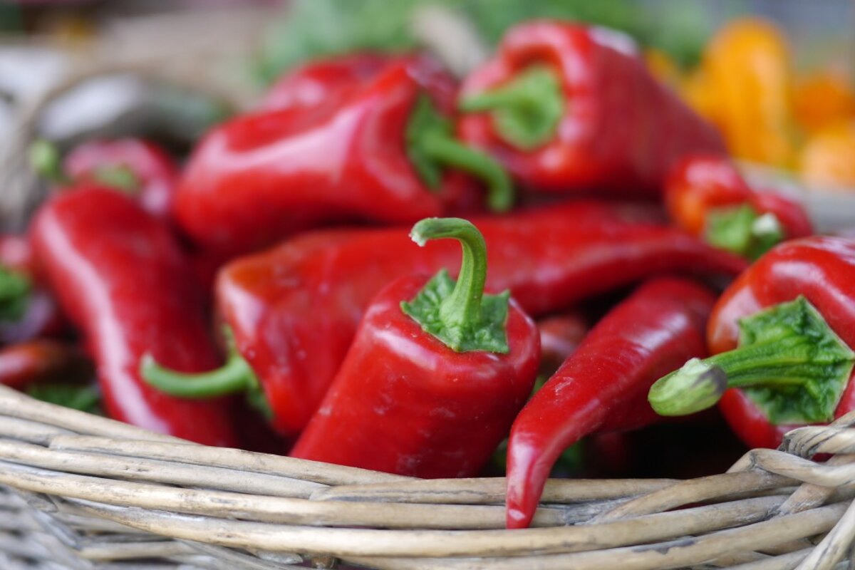 chillies at st tropez market
