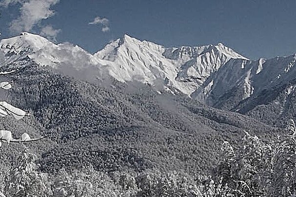 Guided snowshoeing, Chamonix / Mont Blanc Valley