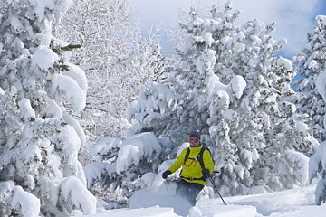 a skier in deep snow in the trees